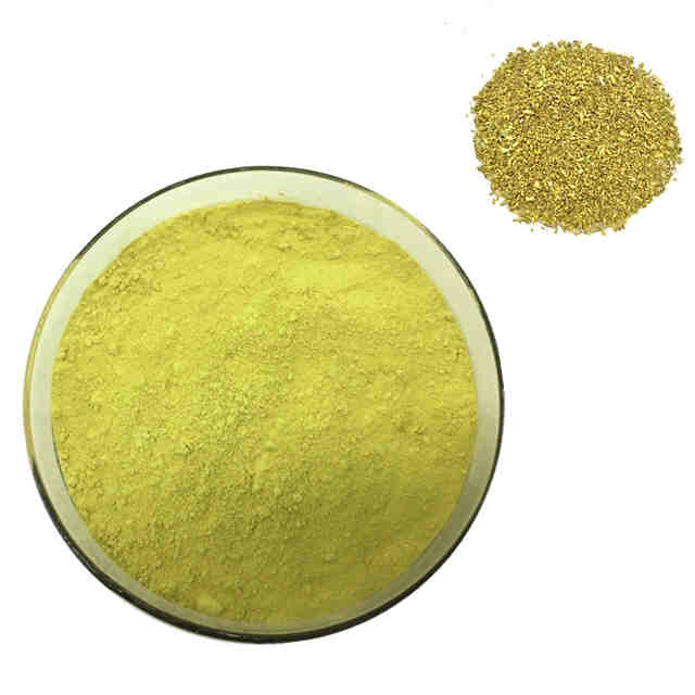 Sophora japonica extract Quercetin 98% 95% % by UV HPLC