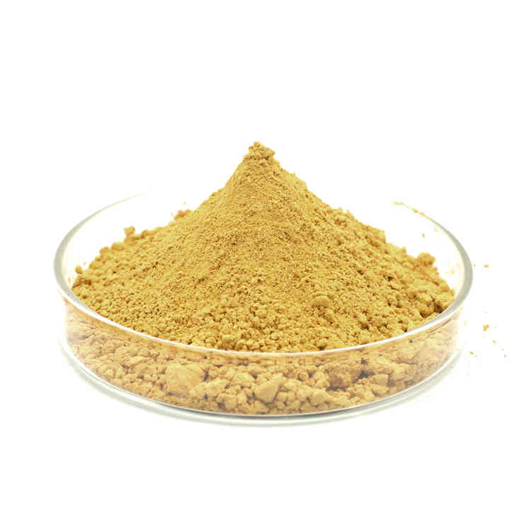 Soy Isoflavone.Soybean Extract