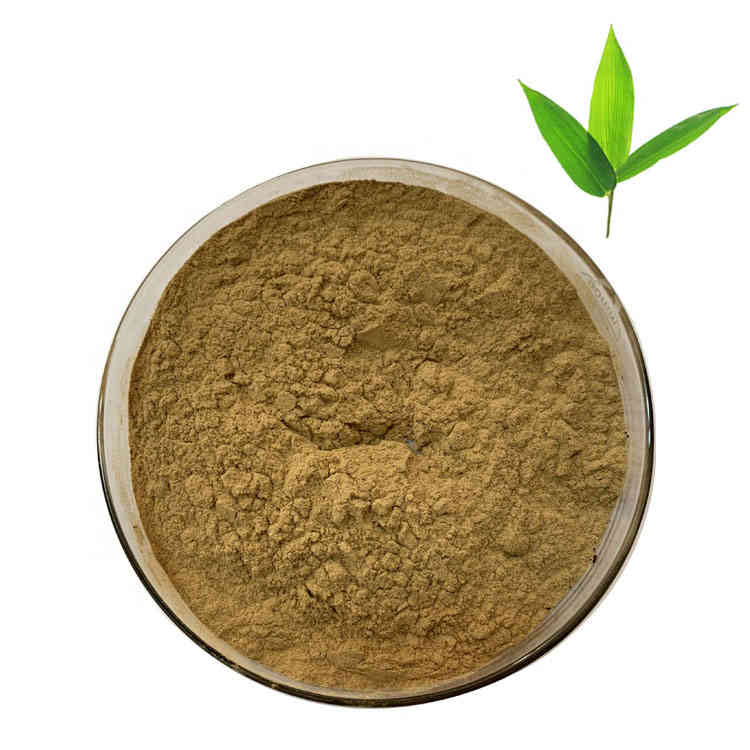 Plant Extract Powder