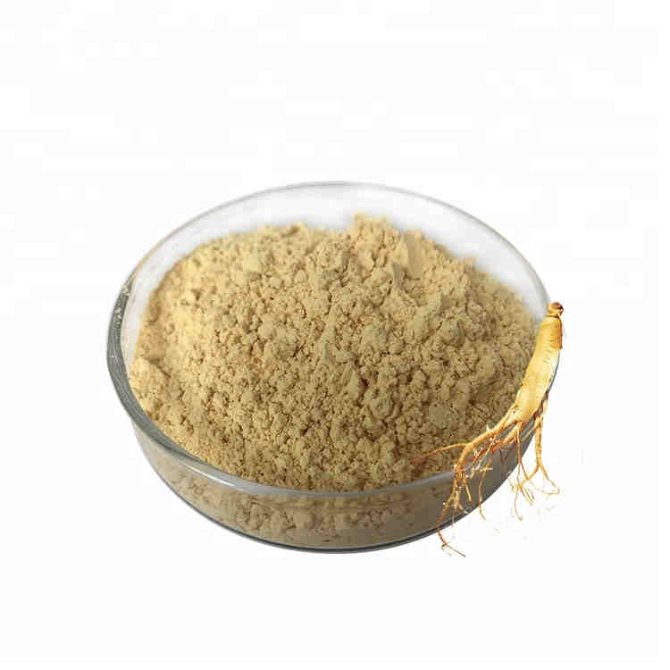 Panax Ginseng Extract Powder 80% Ginsenoside