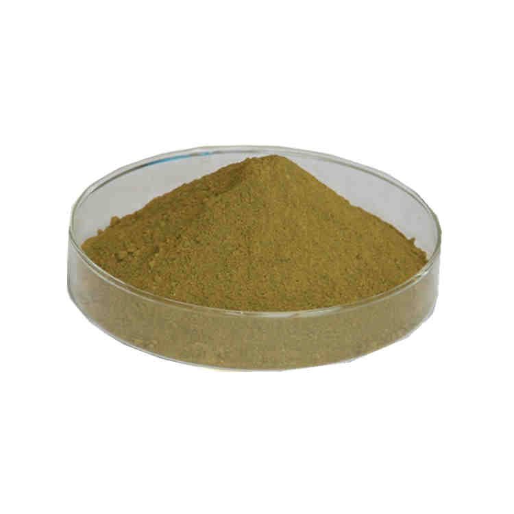 Olive Leaf Extract 10% - 80% Oleuropein, 3% - 50% Hydroxytyrosol