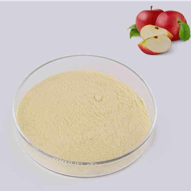 Apple Fruit Extract Apple Polyphenol Phloretin Powder