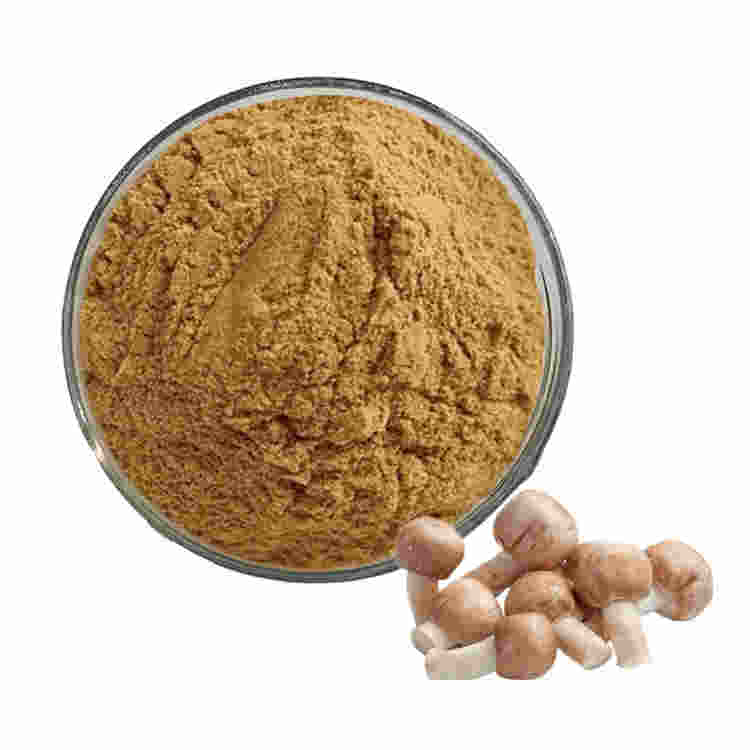 Agaricus Blazei Polysaccharides Extract