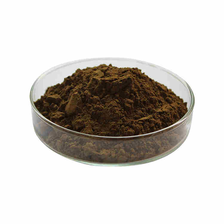 Chaga extract