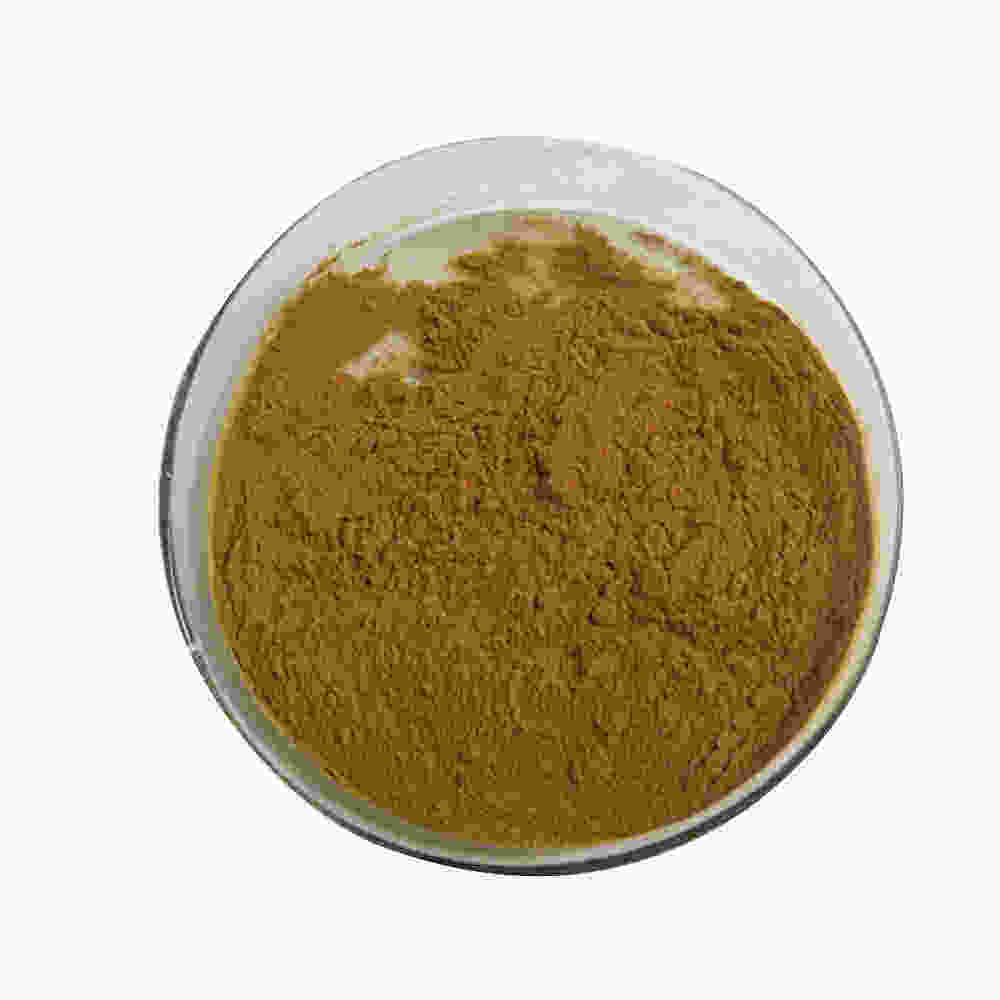 Hericium Erinaceus Extract for Antioxidant